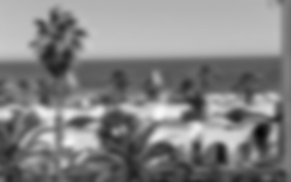 Hammamet - Calimera Delfino Beach Resort&Spa