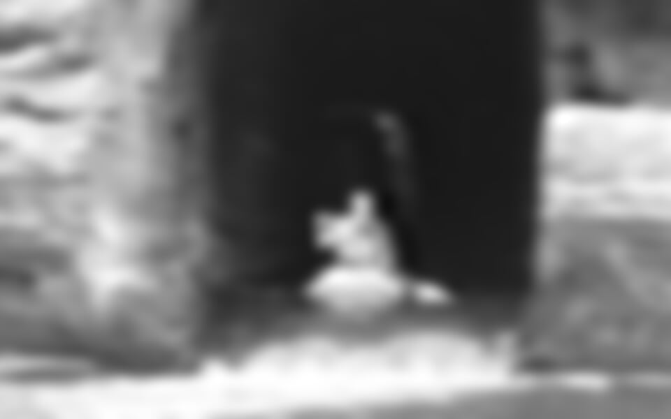 Ploučnice - Víkendová Ploučnice, Noviny - Brenná