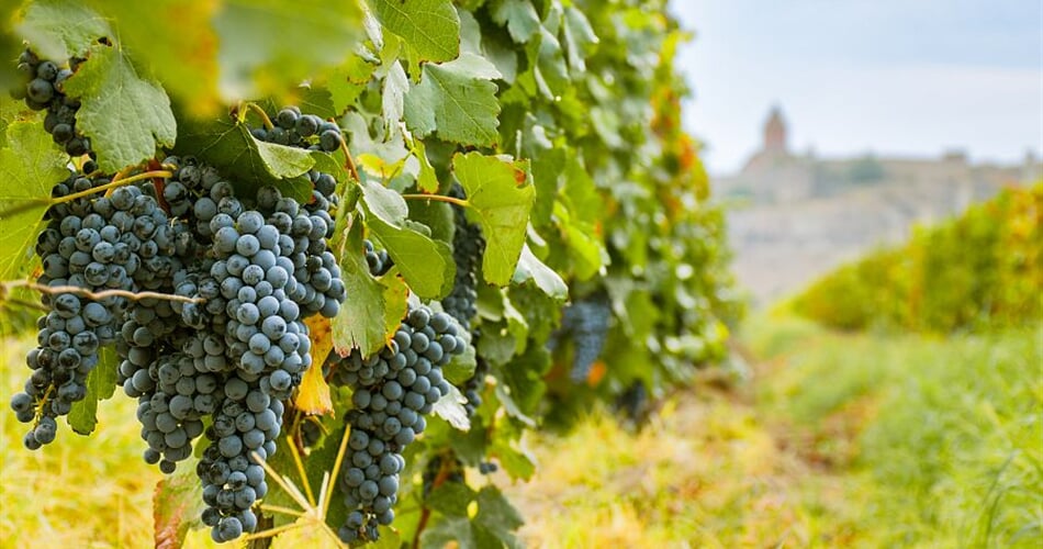 Foto - To nejlepší z Arménie + JEZERO SEVAN + TAJEMSTVÍ VÝROBY VÍNA A DEGUSTACE