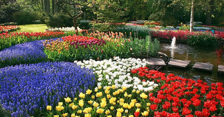 Foto - To nejlepší z Amsterdamu + KVĚTINOVÁ ZAHRADA KEUKENHOF