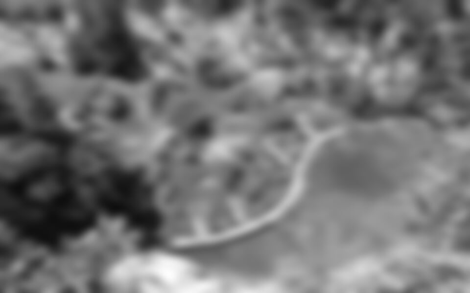 NP Chorvatska - pobytový zájezd s výlety