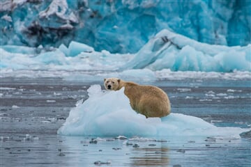 Špicberky + VÝPRAVA SNĚŽNÝM SKÚTREM ZA LEDNÍMI MEDVĚDY + LEDOVÉ JESKYNĚ