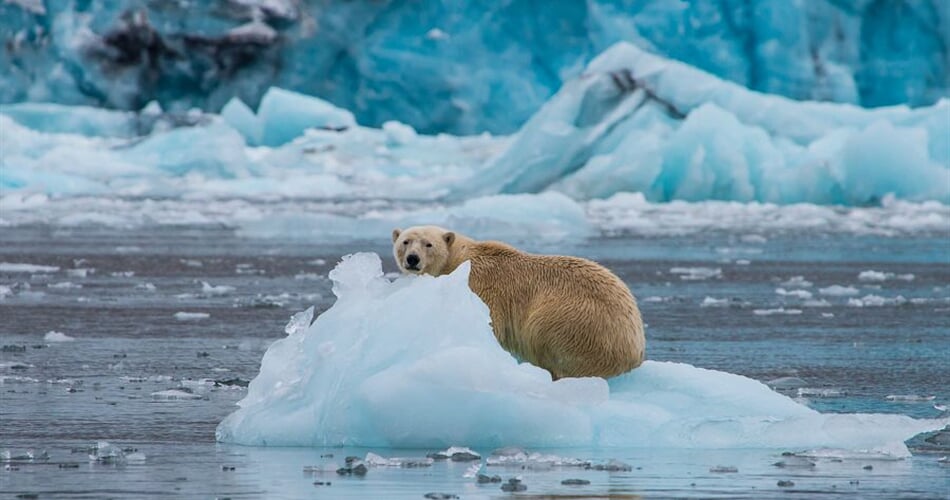 Foto - Špicberky + VÝPRAVA SNĚŽNÝM SKÚTREM ZA LEDNÍMI MEDVĚDY + LEDOVÉ JESKYNĚ