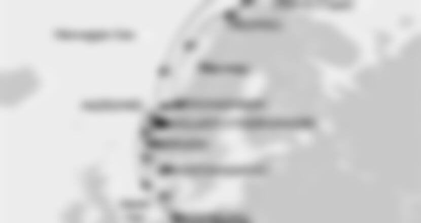 MSC Orchestra -
