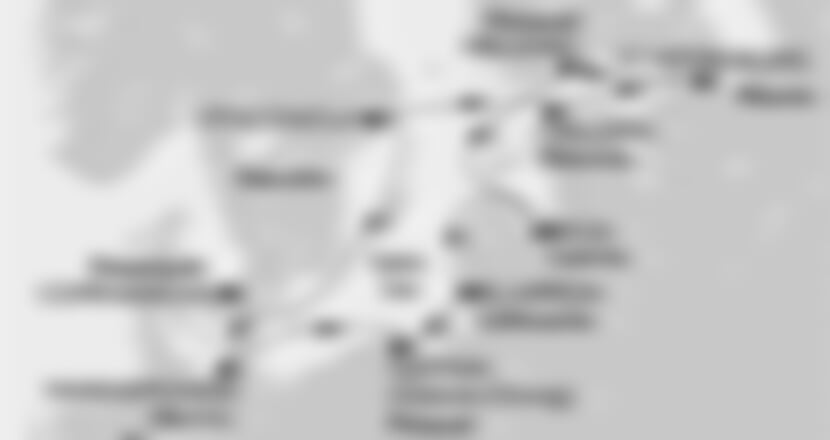 MSC Poesia -