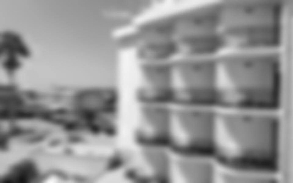 Hotel Rina **** - Alghero