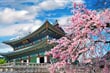 královský palác Gyeongbokgung v období květu sakur, Soul
