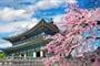 královský palác Gyeongbokgung v období květu sakur, Soul