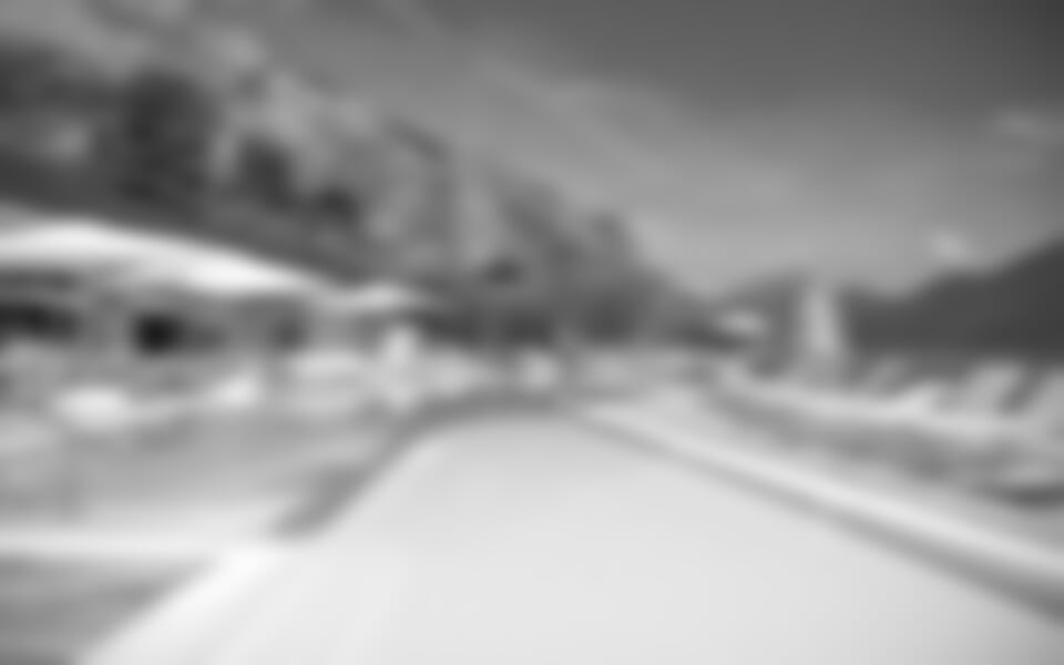 Hotel Leonardo da Vinci **** - Limone sul Garda