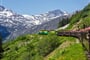 Skagway (7)