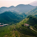 alberto caliman UyL94K 5Pmw unsplash