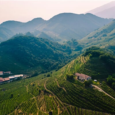 alberto caliman UyL94K 5Pmw unsplash