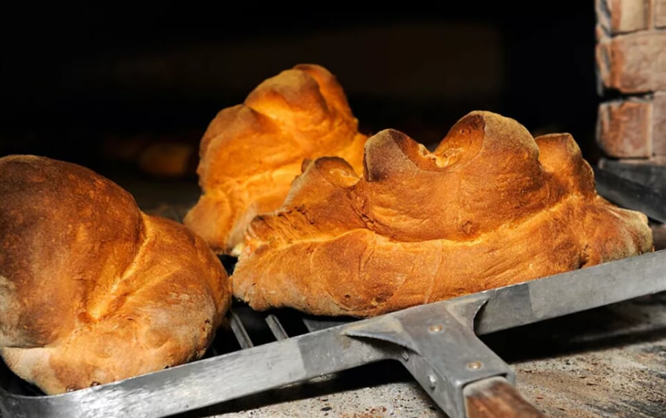 Snímek obrazovky 2025 11 03 104702