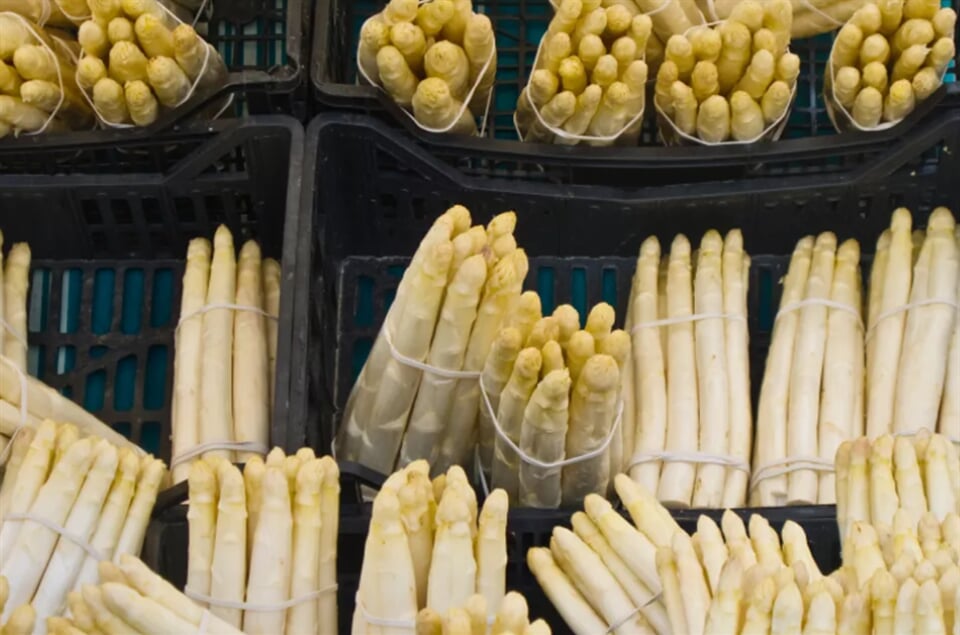 Snímek obrazovky 2025 11 03 111617