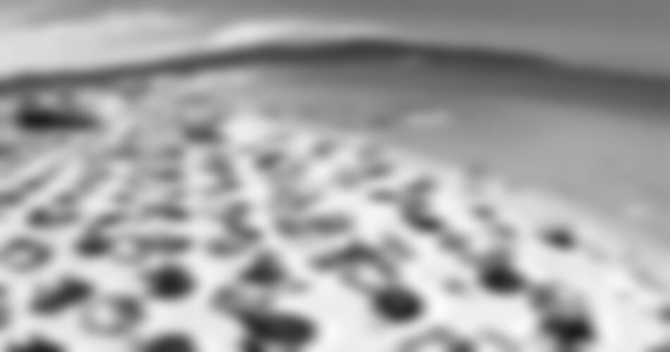 hotel Primorsko Del Sol *****