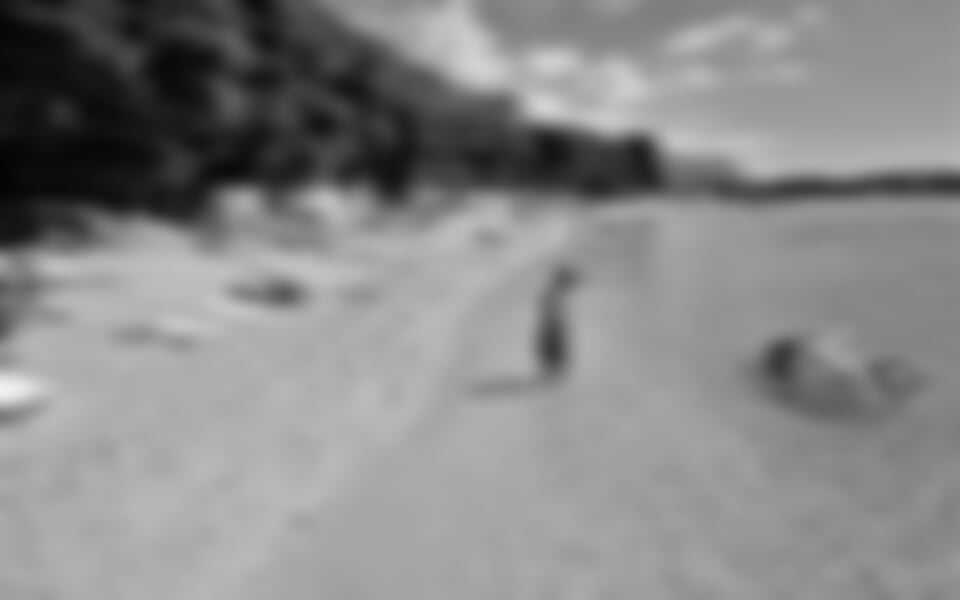 Makarska - hotel Rivijera Sunny Resort **