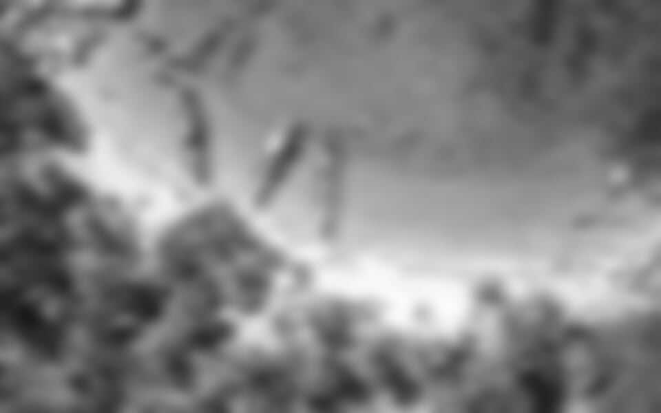 Perly Jihočínského moře