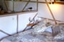 Hotel Pavezzo Country Retreat: fotografie vybavení exteriérů a interiérů ubytování.