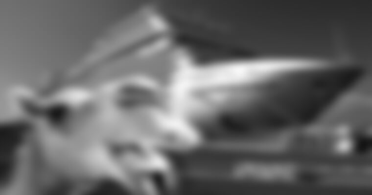 MSC Bellissima - Rudé moře - Saúdská Arábie, Petra - letecky s delegátem