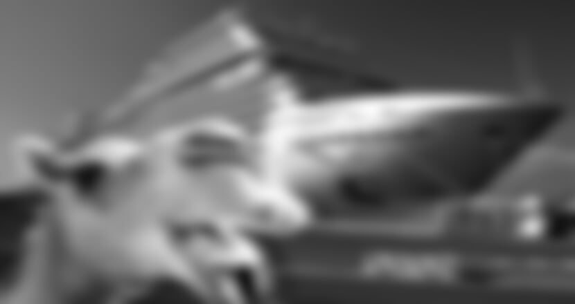 MSC Bellissima - Rudé moře - Saúdská Arábie, Petra - letecky s delegátem