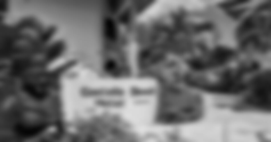 Seychely - Praslin