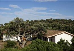 Oblast NUORO - AGRITURISMO CONCA' E JANAS