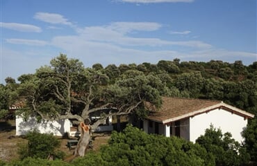 Oblast NUORO - AGRITURISMO CONCA' E JANAS