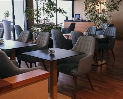 Hotel Salo du Parc (11)