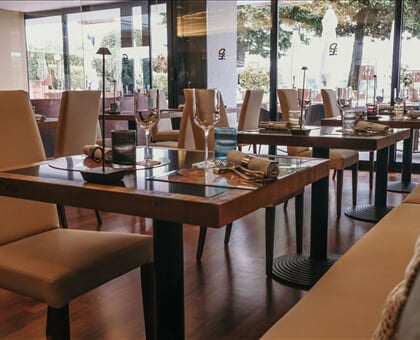 Hotel Salo du Parc (9)