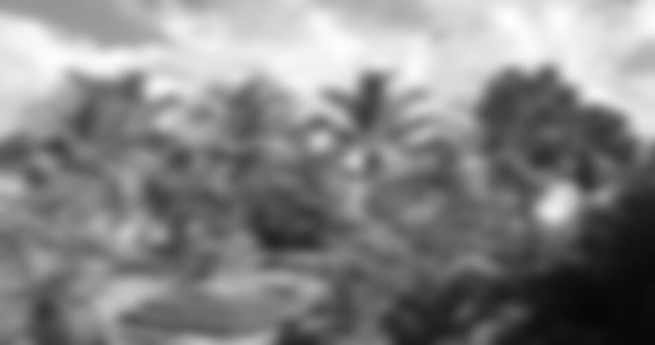 Madagaskar