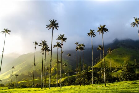 To nejlepší z Kolumbie + ÚDOLÍ COCORA + KOUPÁNÍ NA KARIBSKÉM POBŘEŽÍ