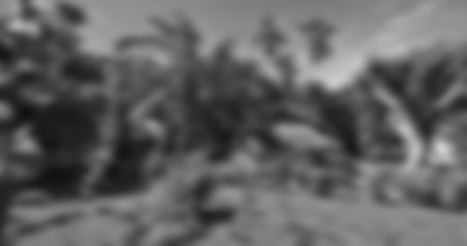 Mayotte