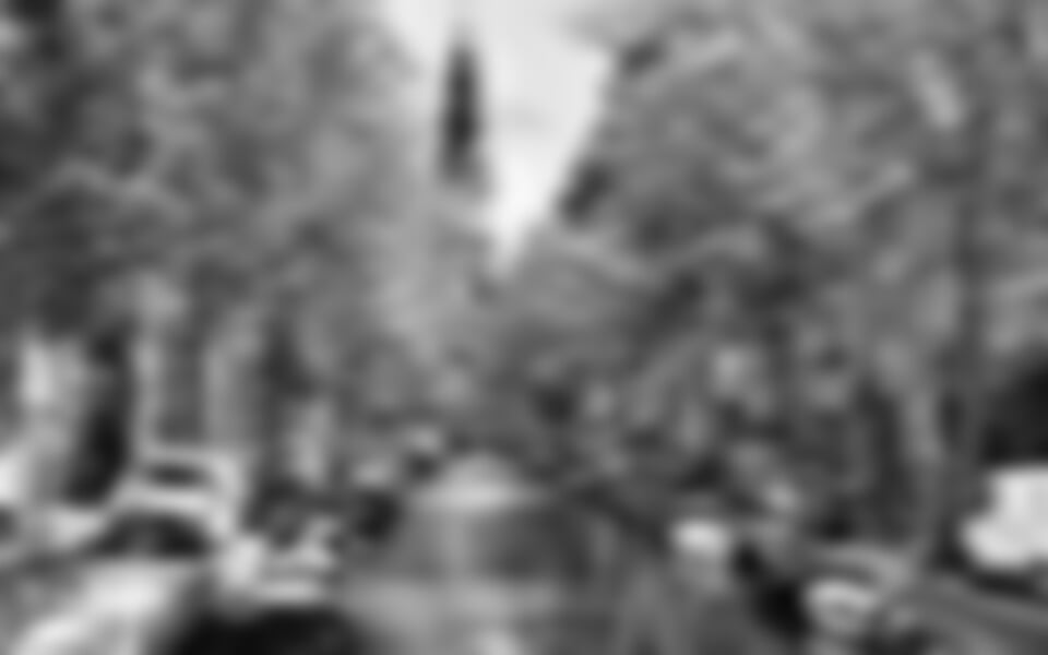 Holandsko – Za Tuleni Na Ostrov Texel