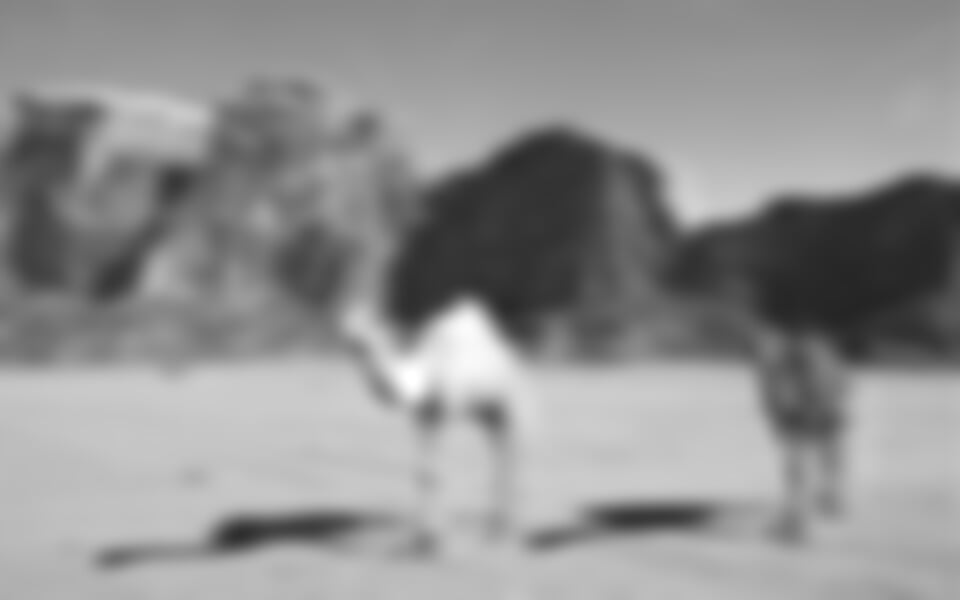 Jordánsko - velmi podrobný okruh