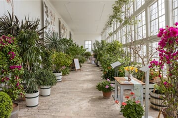 Ostermarkt Schloss Hof 2 Zsolt MARTON PRINT