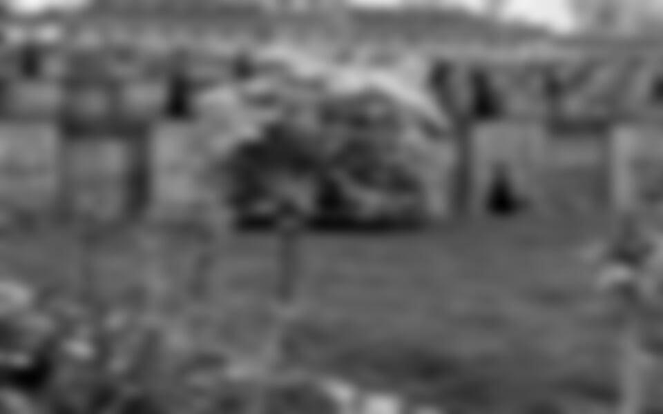 Berlín - Berlín, Postupim a tajemný Harz: hrázděný Quedlinburg a Goslar