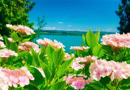 Bodamské Jezero - Mainau, Kostnice, Lindau