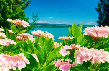 Bodamské Jezero - Mainau, Kostnice, Lindau