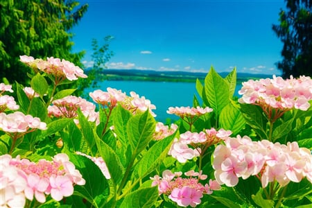 Bodamské Jezero - Mainau, Kostnice, Lindau