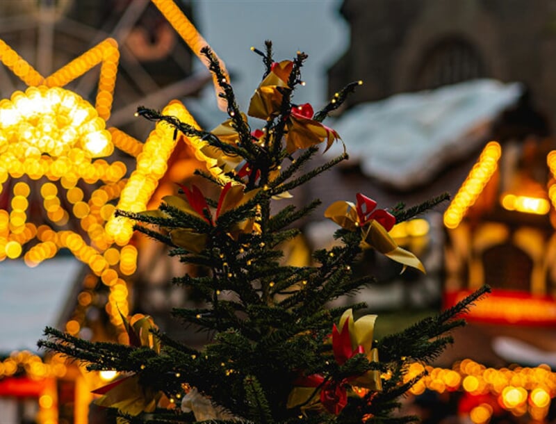 jahanzeb ahsan KQreFs4chC0 unsplash