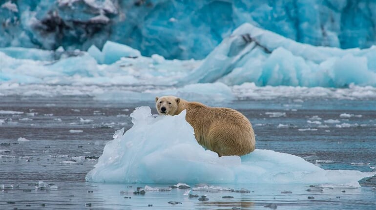 Foto - Špicberky + VÝPRAVA SNĚŽNÝM SKÚTREM ZA LEDNÍMI MEDVĚDY + LEDOVÉ JESKYNĚ