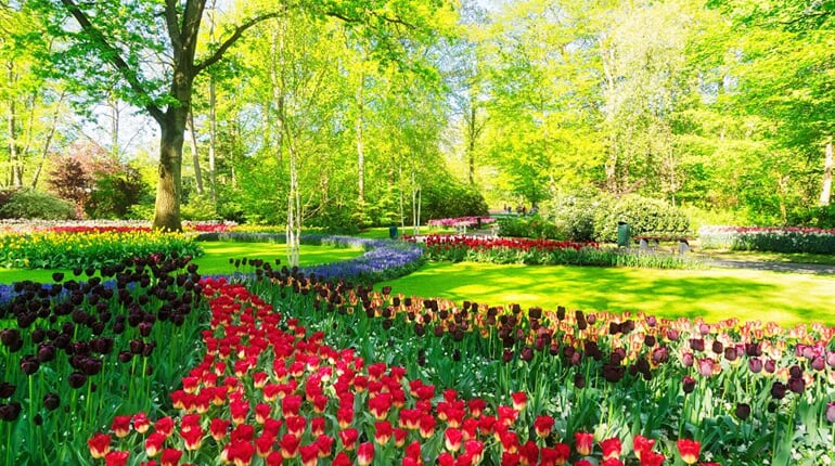Foto - Velikonoční Amsterdam + KVĚTINOVÁ ZAHRADA KEUKENHOF + SLAVNÁ MUZEA