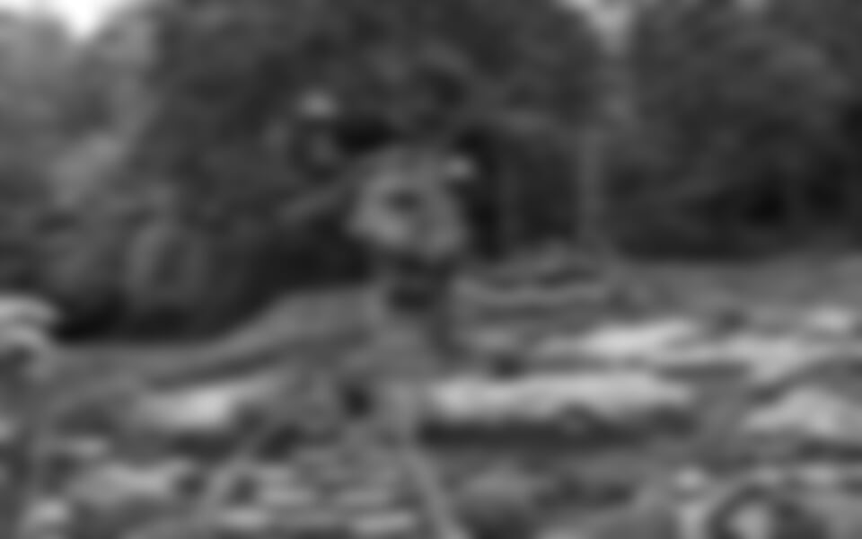 Tulln - Tulln - zahradnický veletrh