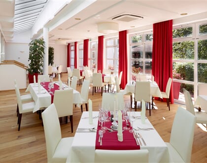 Hotel Das Ludwig Zimní Zahrada