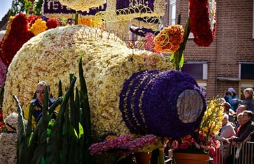 To nejlepší z Holandska + KVĚTINOVÉ KORZO