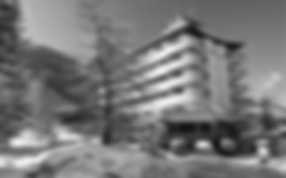 Hotel Bozzi *** - Aprica