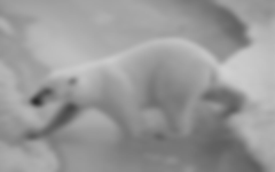 ŠPICBERKY - GRÓNSKO - ISLAND - tři arktické klenoty