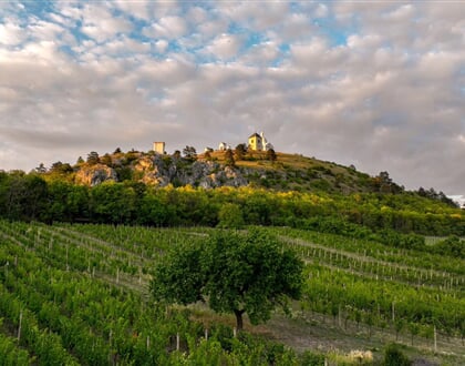 Hotel Golf Garni Vinice