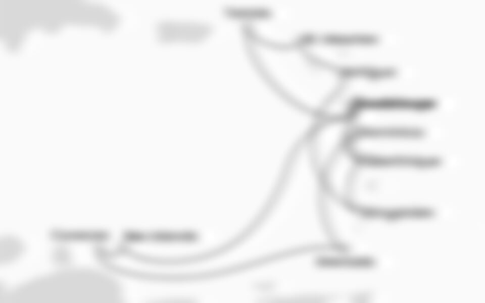 Costa Fascinosa - Nizozemské Antily, Panenské o. (britské), Sv.Vincenc a Grenadiny, Dominika (Pointe-a-Pitre)