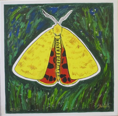 Přástevník angreštový